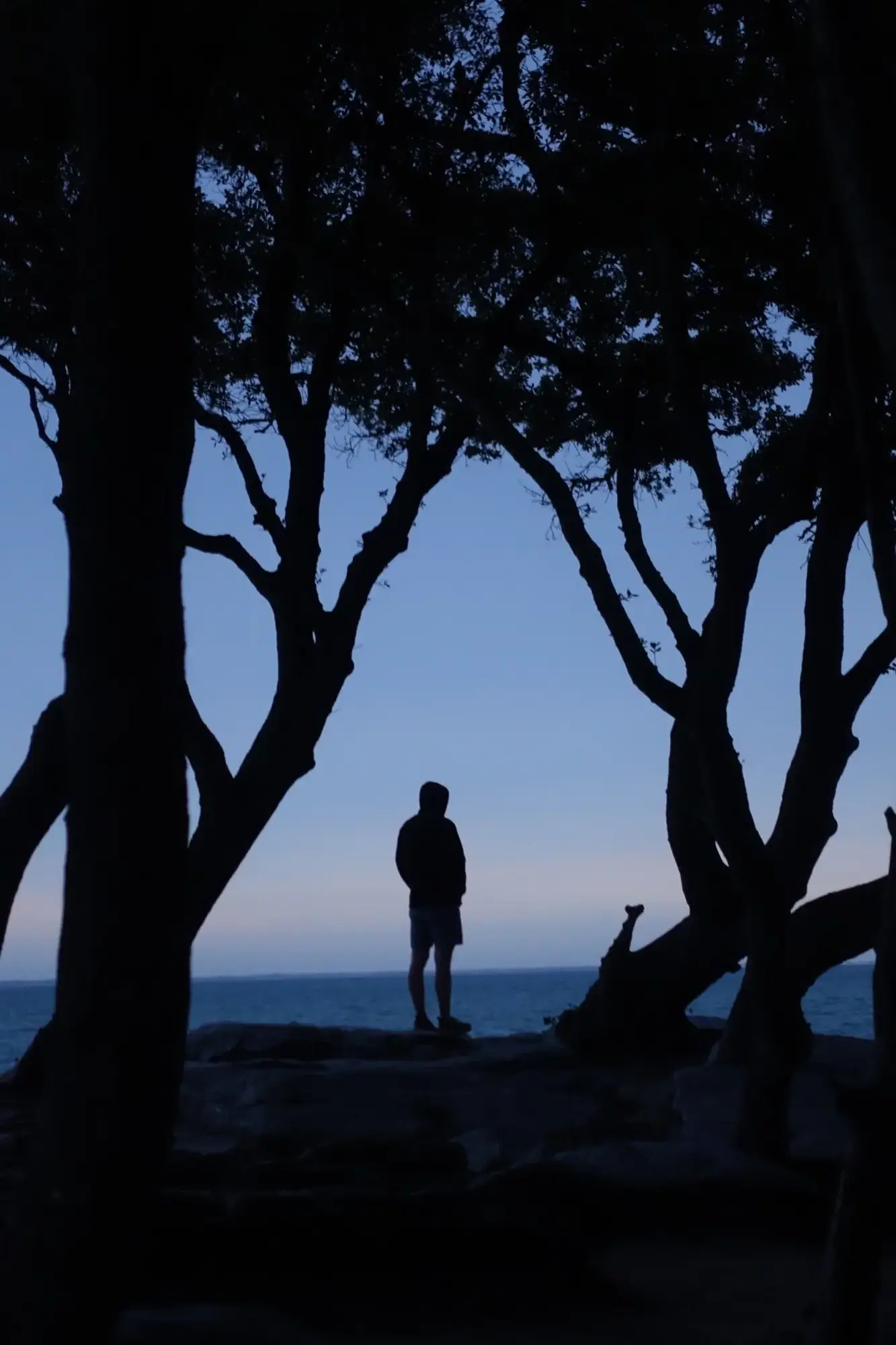 Estéban pendant un coucher de soleil entre des arbres, face à la mer.