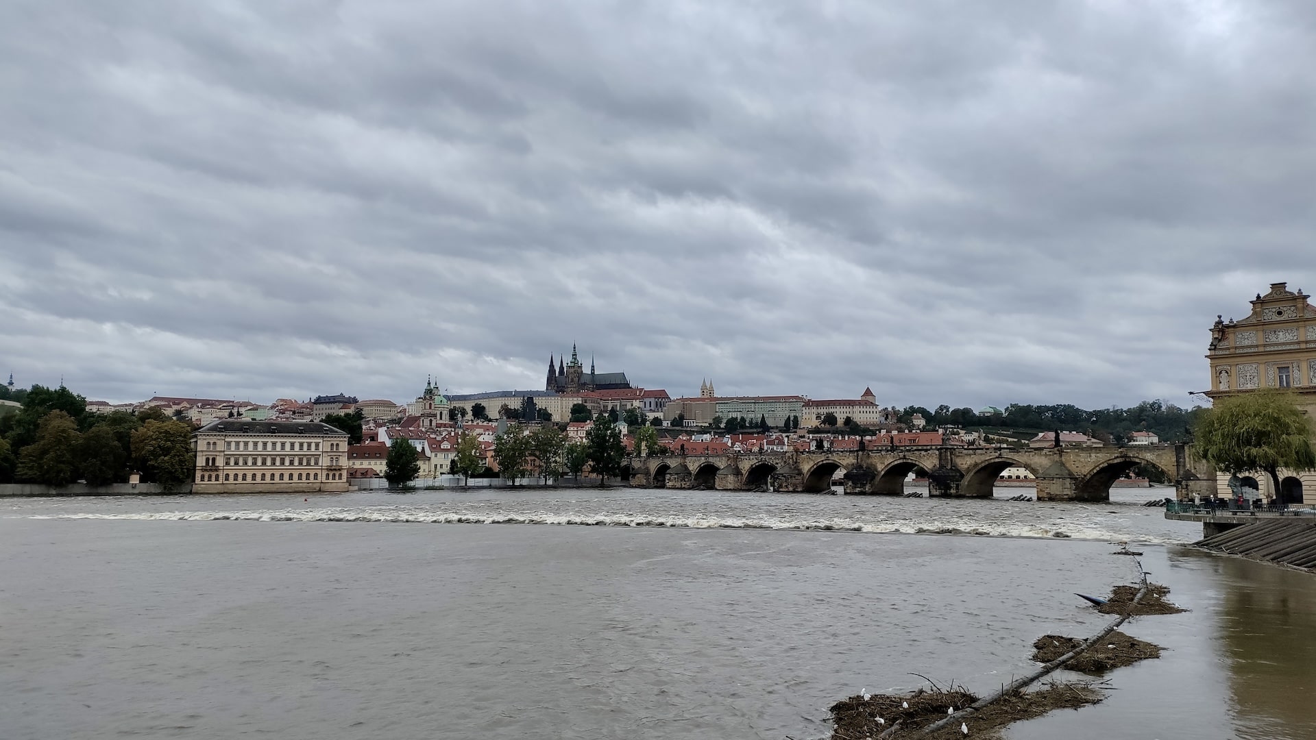 Charles Bridge and the Prague Castle in the background.